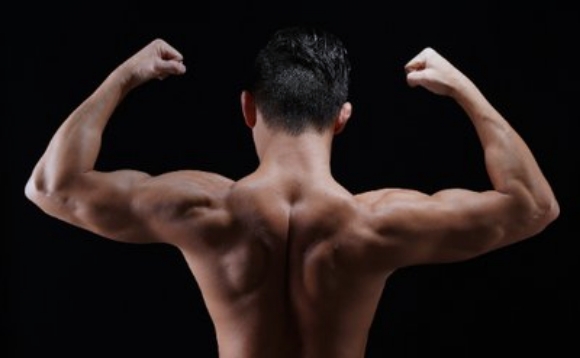 免疫を向上させてウイルス対策-前編